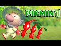Pikmin 1 FULL GAME 100 Walkthrough