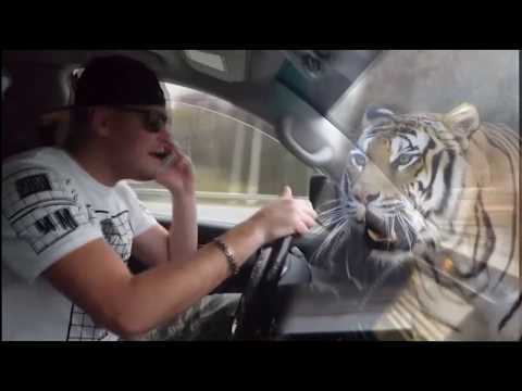 MANDIK - Я видел тигра (Official  Video)