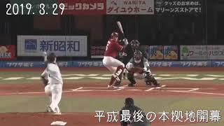 カモメの平成ラストイヤー