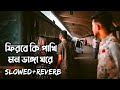যায় পাখি উড়ে | Jay Pakhi Ure (Slowed & Reverb)💔|  Romeo | Bengali Sad Lofi Song | Iswar 07