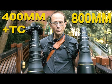 Ultimate Long Lens Shootout - Nikkor Z 800mm VS 400mm  Z + 2X TC