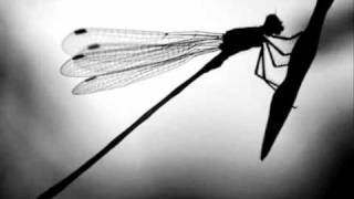 Red House Painters - Dragonflies