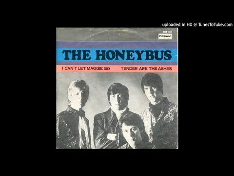 Honeybus - I Cant Let Maggie Go - 1968