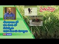 Raithu Nestham Dt 01 01 2020 Seetakalamlo Varisaagulo Samasyalu Adhigaminchu Margalu