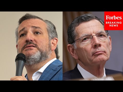 John Barrasso Says He And Ted Cruz Have The Right Solution To Prevent School Shootings