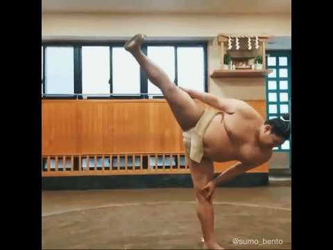Shiko! Excellently performed by Abi #sumo #wrestling #大相撲 #shiko