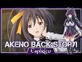 The FULL STORY Of Akeno Himejima High School DxD History Analysis