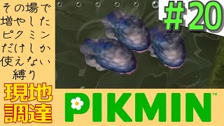 その日増やしたピクミンしか使えない縛り【現地調達ピクミン】#20