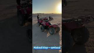 Hurghada/Makadi Bay, ATV tour & Camel ride