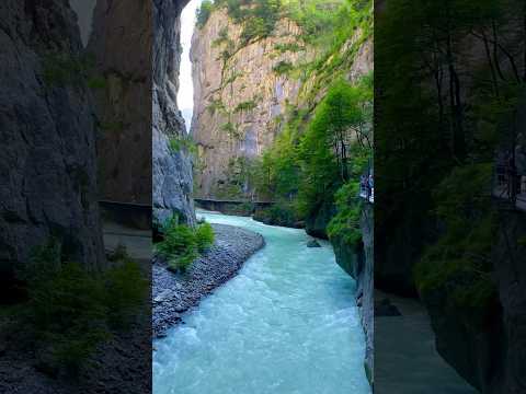 📍 Aareschlucht, Switzerland 🇨🇭Follow for daily Swiss Content 🇨🇭