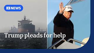 Trump pleads for help to secure Strait of Hormuz from Iran | ABC NEWS