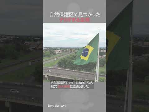 ベ ド ソンム自然保護区 - 定義