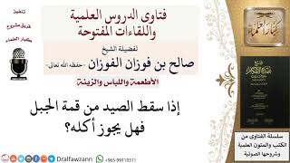 إذا سقط الصيد من الجبل فما حكمه؟ للشيخ صالح الفوزان image