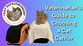 The Best Cat Carrier - Vet Explains What to Look For