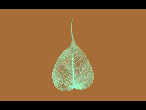 150312 The Protection of Restraint \ \ Thanissaro Bhikkhu \ \ Short Dhamma Talk