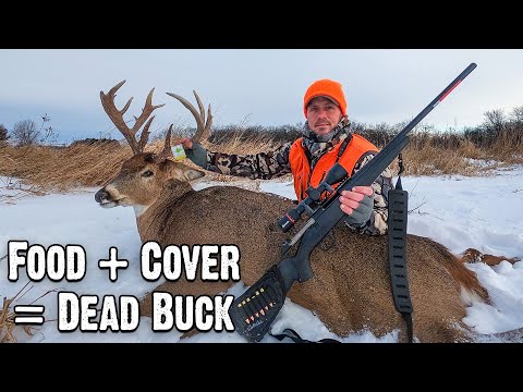 Textbook Winter Whitetail Hunt | Late Season Buck Shift Explained