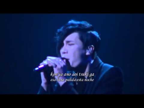 Hide And Seek Love video