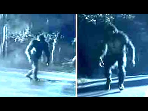 Bigfoot expedition researchers: “The proof is here – we have found it!”