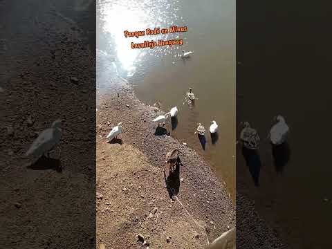 Parque Rodó en Minas Lavalleja Uruguay
