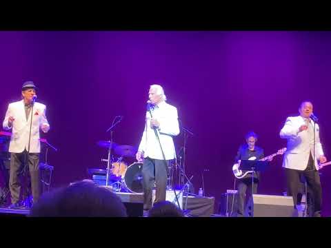 Jay Siegel’s Tokens - Tonight I Fell in Love