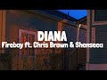 Fireboy DML - Diana (Lyrics) ft. Chris Brown & Shenseea