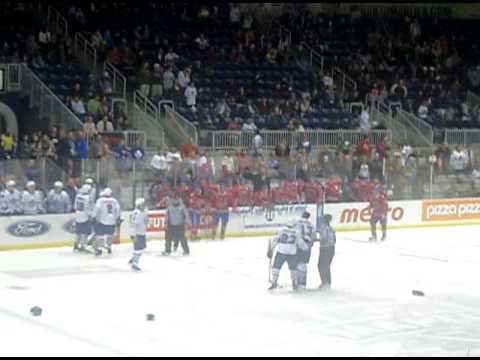 Toronto Marlies Fight Vs Hamilton Bulldogs