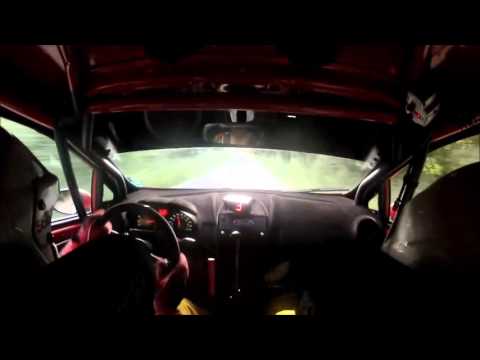 Danube Delta Rally 2015 - Geradzhiev/Gadzhev - SS4 Cocoșu 2