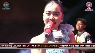 Download lagu MASIH ADA LUKA _ VOC: NIA NYENTRIK - TARLING DANGDUT NADA INSANI | CIPARAGEJAYA KARAWANG |12 08 2026 mp3