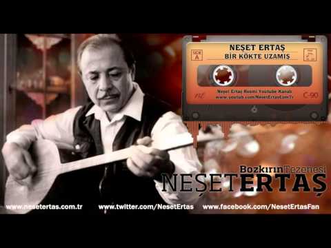 Video Yükleniyor...