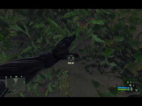 The Astonishing Adventures of Spiffy the Space Frog