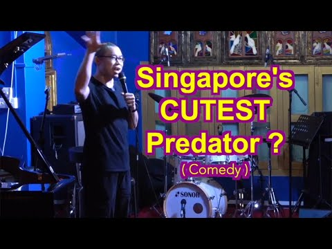 Singapore's CUTEST Predator | Jinx Yeo | stand-up comedy