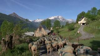 preview picture of video 'Gîte des Moulins - Location gite Pyrénées, val d'Azun'
