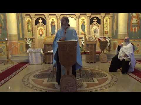 Pr. Dan Popovici – Starețul Ambrozie de la Optina, despre mânie