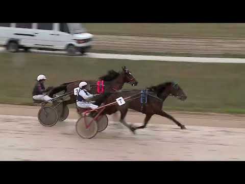 2023.04.08. 02. futam - 2023. ÉVI SEGÉDHAJTÓ KUPA II. FUTAMA HENDIKEP