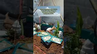 Download lagu tidur di kuburan selama 3 hari,viral mp3 Download lagu tidur di kuburan selama 3 hari,viral mp3