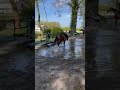 A confier ou à vendre
