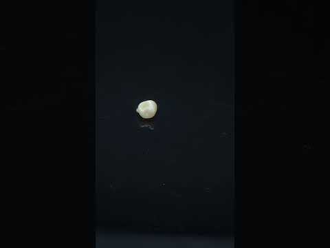 YouTube 썸네일