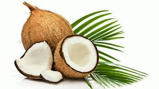 World Coconut Day - DAY