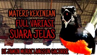 Download lagu SIMULASI LOMBA MURAI BATU TERBARU mp3