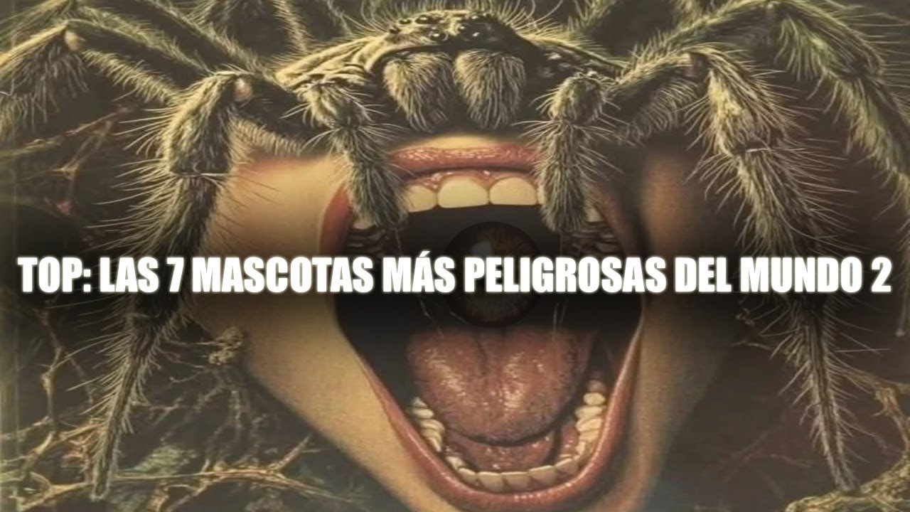 TOP 7: Las mascotas MÁS PELIGROSAS DEL MUNDO II