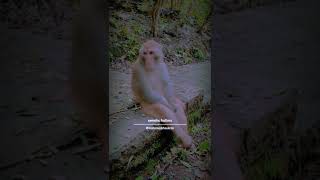 Download lagu Iklim - Aduhai Seribu Kali Sayang mp3