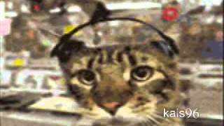 Peter Tosh & Jimmy Cliff Pressure