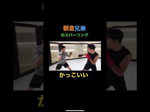 朝倉兄弟最強#朝倉未来#朝倉海#切り抜き#格闘技#兄弟
