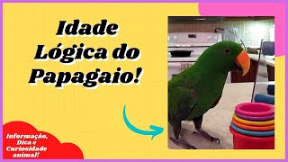 [Veja Dicas, Curiosidades e Informaes Sobre Animais de Estimao] #shorts