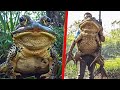 20 Abnormally Large Animals That Actually Exist