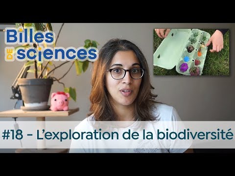 Billes de Sciences #18 : Aurélie Froger - L'exploration de la biodiversité