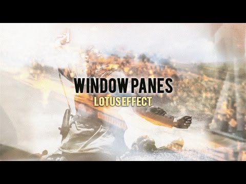 Window Panes Lyric Video - Lotus Effect