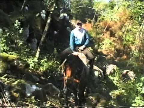 VALERIO, IL MULATTIERE PAZZO, VILLA LATINA, ITALIA