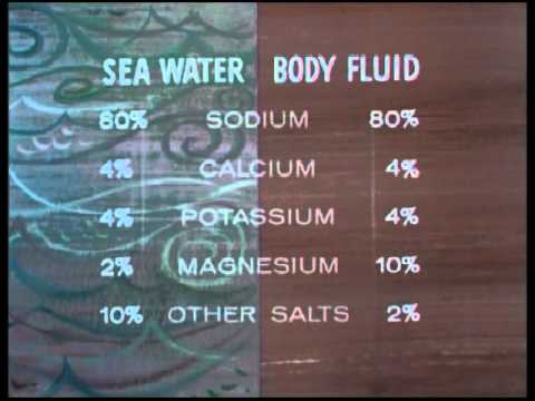 Mr. Hemo - Frank Capra