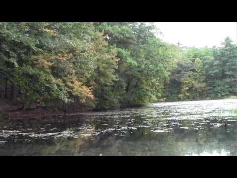 Bay Circuit Trail Concord MA: Hapgood -  Wright Forest Part 2.